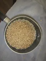 small beans.webp