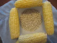 corn and beans.webp