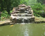 micro pond.webp