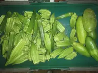 okra and cucumbers.webp